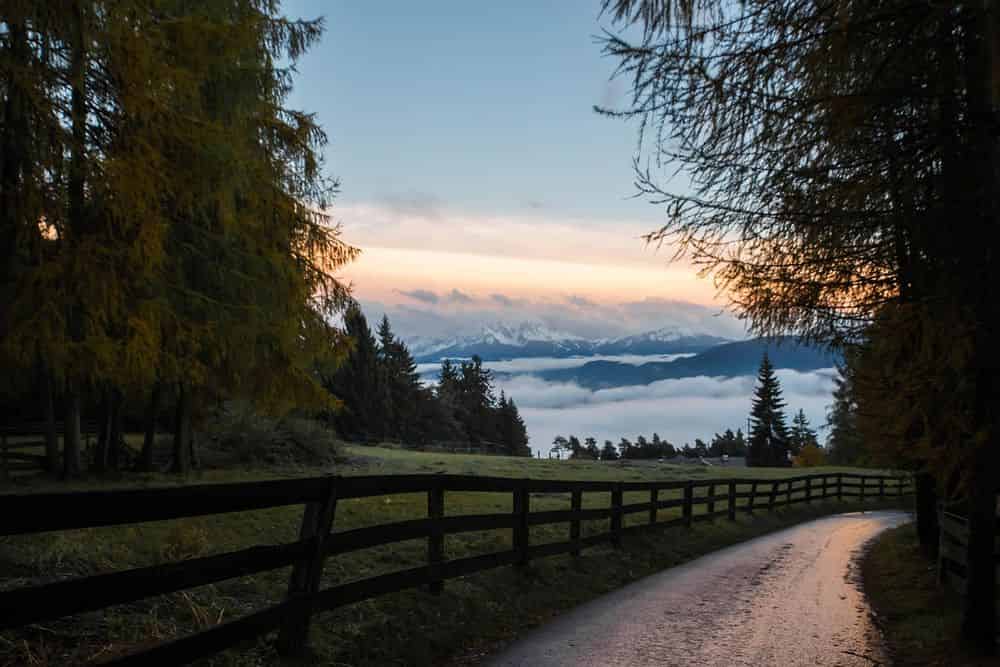 Residential Fencing Service image
