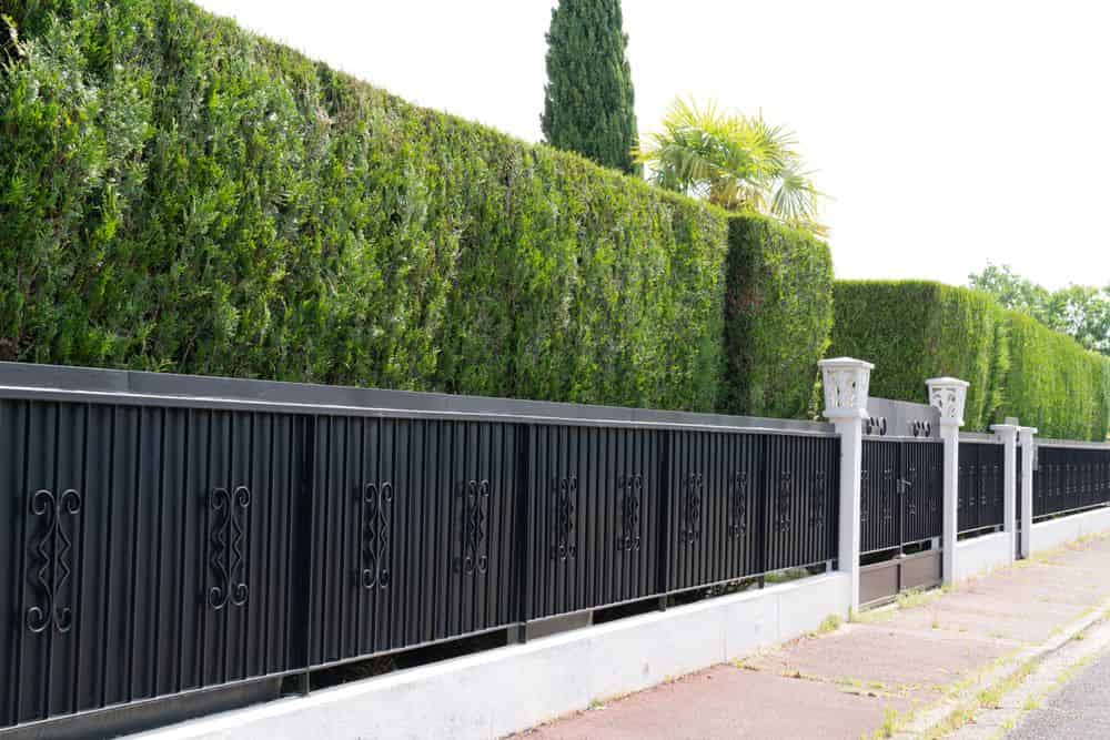 Steel Fence image